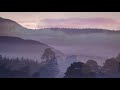 Rspb nature reserves  a dawn chorus soundscape