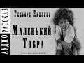 &quot;Маленький Тобра&quot; ●  Редьярд Киплинг ●  🎧  Аудиокнига/рассказ ● Драма ● Сборник &quot;Жизнь дает фору&quot;