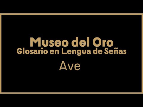 Glosario en Lengua de Señas del Museo del Oro | Término: Ave
