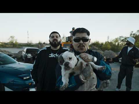 Stap x Cepe- GARDOPE