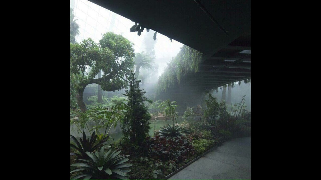 tony shhnow x niontay type beat 