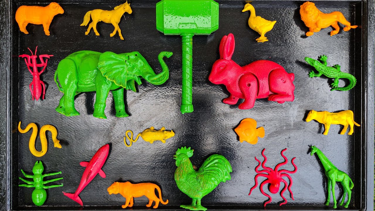 AYO!! Membersihkan hewan sapi, bebek, angsa, ayam, gajah, simpanse, singa, unta, buaya, kangguru