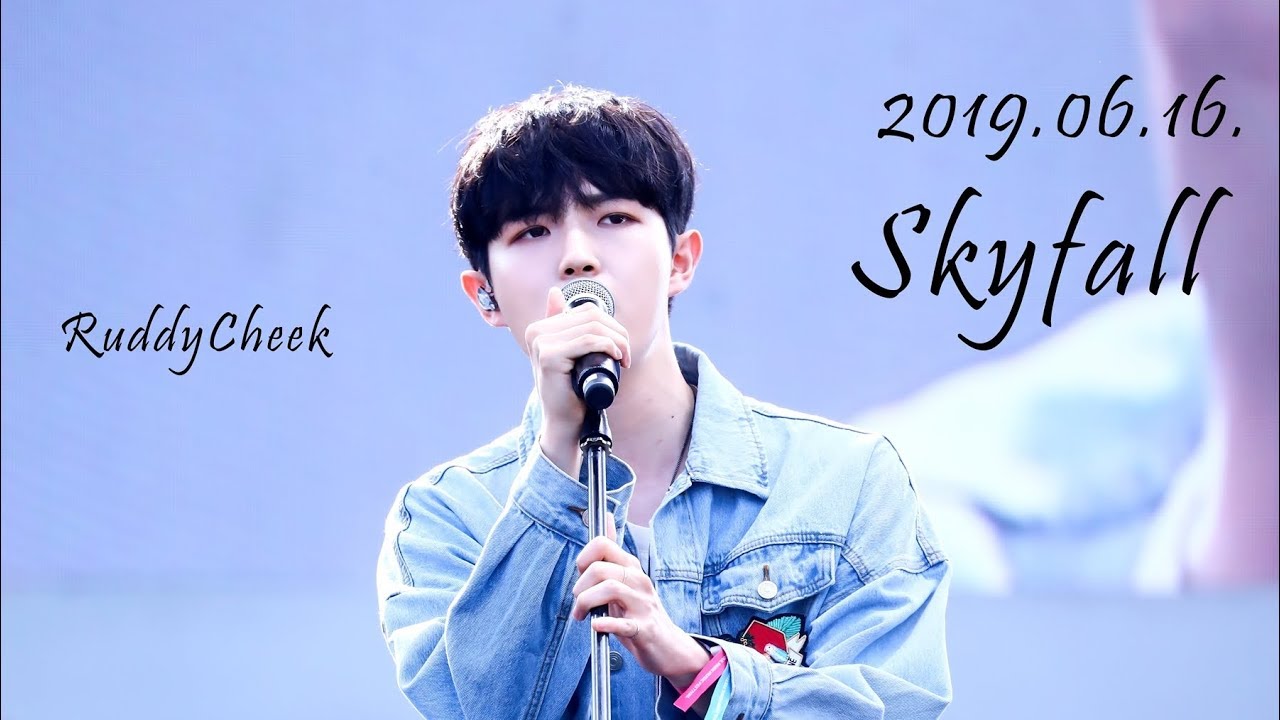 190616 Seoul Park Music Festival - Skyfall (KIM JAE HWAN)