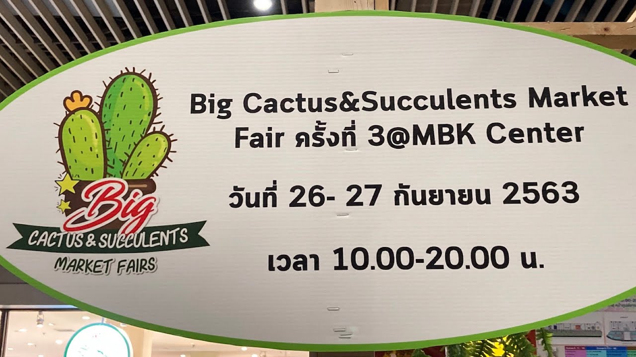 Big Cactus \u0026 Succulents Market Fairs 3 @MBK Center