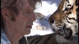 Neil Breen is the Hero We Need but Not the One We Deserve