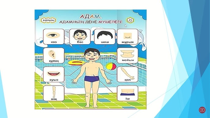 Голливуд және порно Www видео секс ru