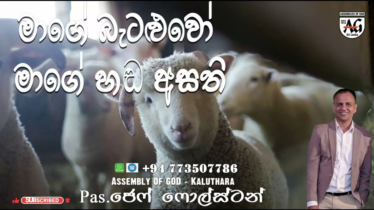 මාගේ බැටළුවෝ මාගේ හඬ අසති #PastorjeffFoulstone#