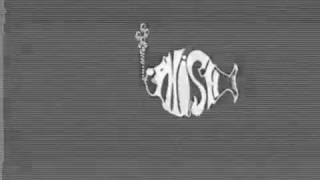 Phish 8/8/93 Nautica Stage, Cleveland, OH (audio remaster) Profile