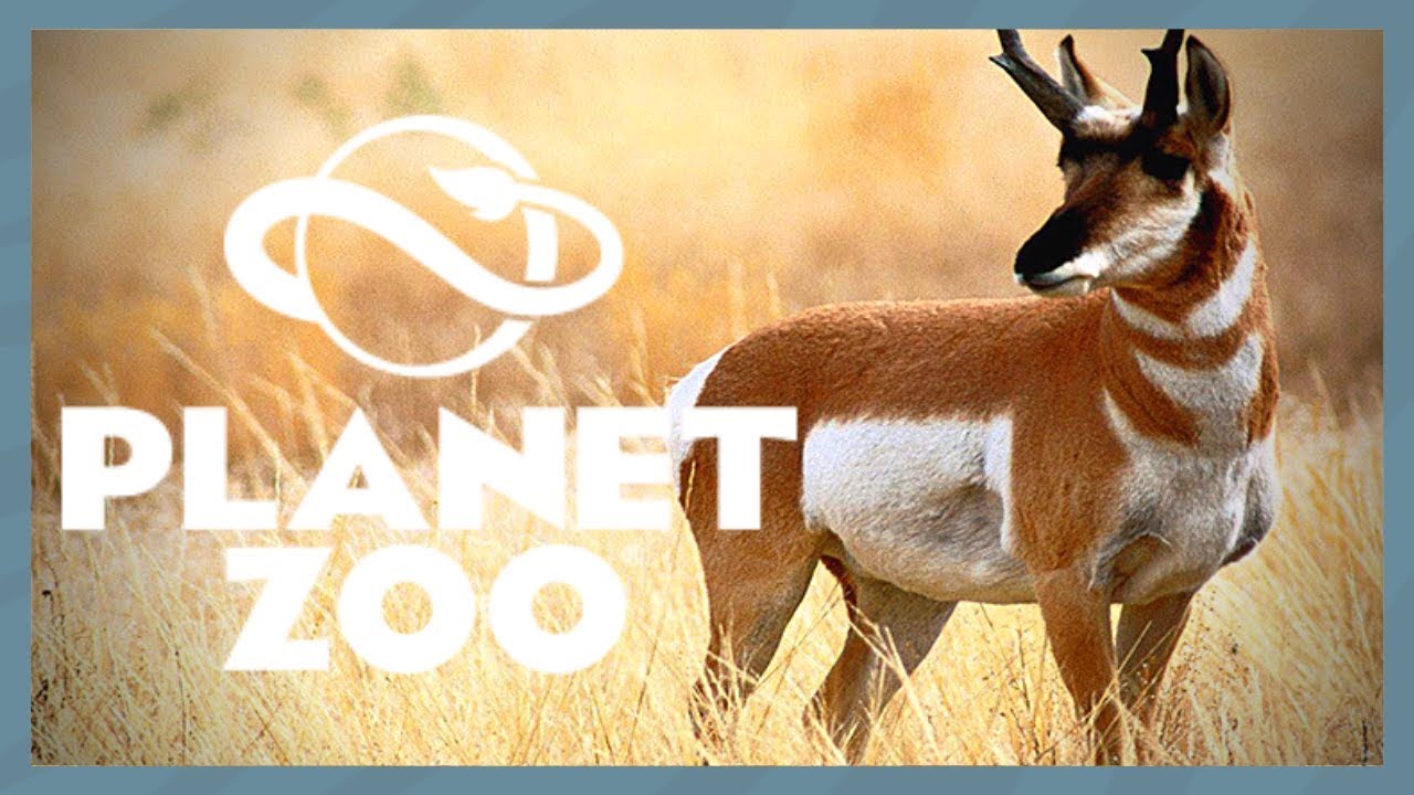 PRONGHORN ANTELOPE CONFIRMED!? - Planet Zoo news. - YouTube