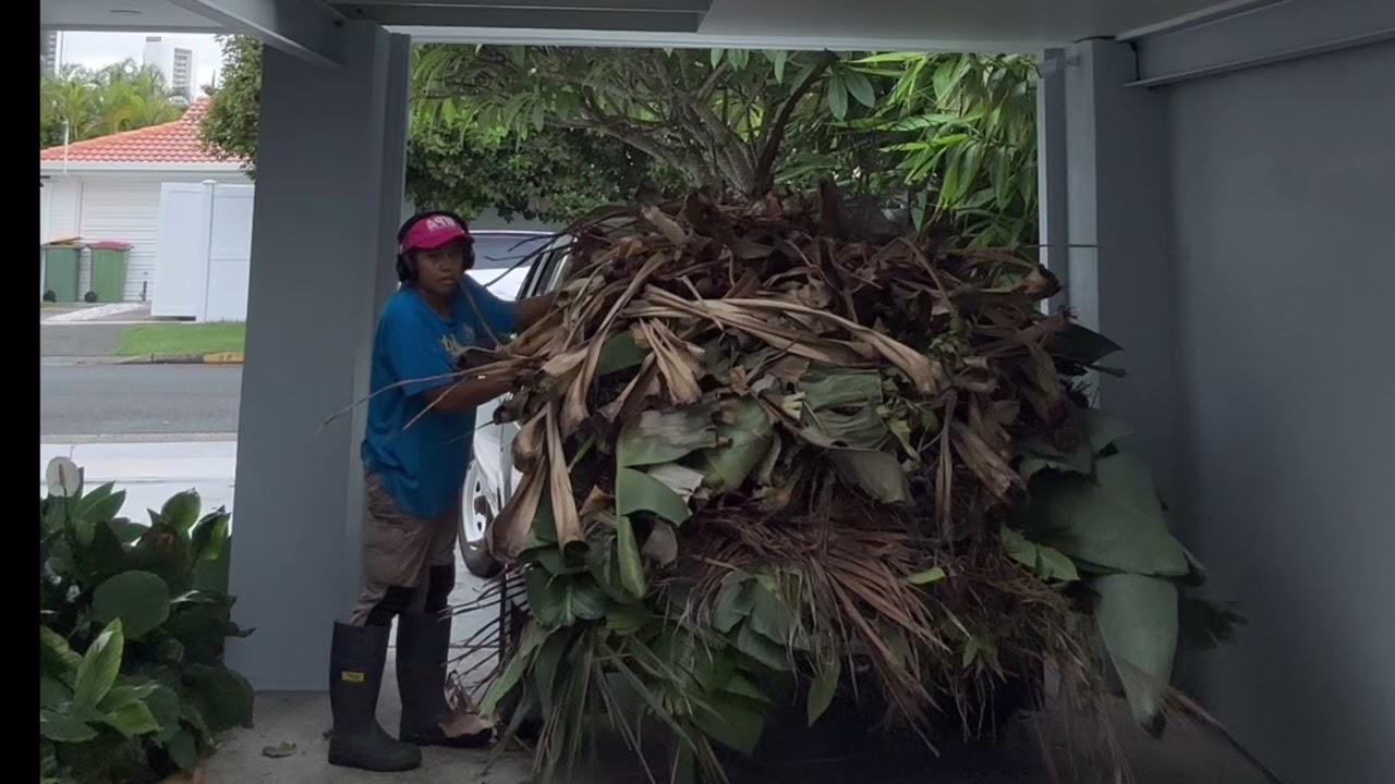 Hilux 1996 Utility Toyota Car Overload Green Waste Removal