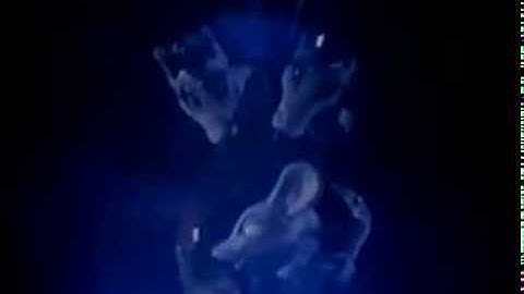 The Nutcracker Fantasy (1979) part 3