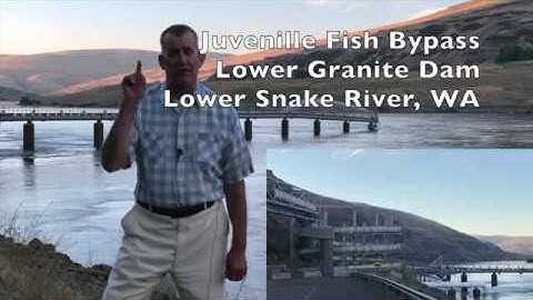 If at first you don’t succeed, try, try, again