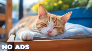 12 Hours Cat Healing Music 🐈 Soothing Sounds for Deep Relaxation And Sleep With Soothing Piano Sound by Healing Cat Music 1,737 views 4 weeks ago 12 hours