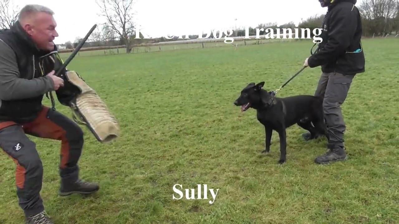 K9UlfTraining2ndJan2023