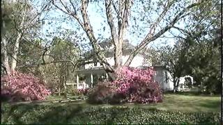 SPRING TIME IN CHESTER VA.