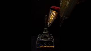 ⚡️Music Tesla coil experiment Eiffel Tower⚡️ #teslacoils #teslaexperiment #teslacoilsound ￼
