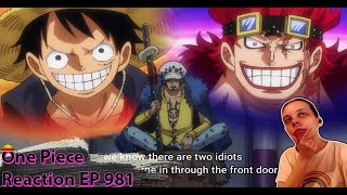 One Piece Blind Reaction Episode 981 Plans..