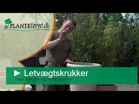 Havekrukker. køb flotte billige udendørs krukker til haven