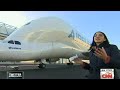 'Beluga': el avión-ballena está listo para crecer