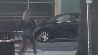 Dog Walker on West Sunset Boulevard in Hollywood Boulevard 3/3 #dogwalk #hollywood