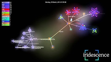 Iridescence development visualized