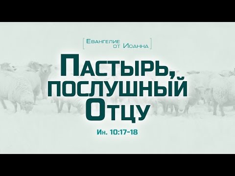 Проповедь: "Ев. от Иоанна: 59. Пастырь, послушный Отцу" (Алексей Коломийцев)