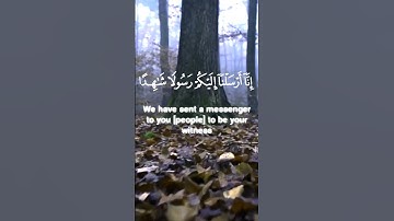 سورة المزمل الآية ١٨ #آيات #اكسبلور #سورة #قرآن #duet #قران_كريم #دويتو #راحة_نفسية #يوتيوب #الله