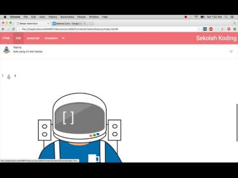 chips, badge dan pagination