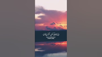 وهو الذي يقبل التوبة عن عباده ويعفو عن السيئات ويعلم ما تفعلون| #قران_كريم |سورة الشورى