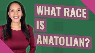 What Race Is Anatolian?