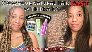 How to GROW NATURAL HAIR FAST WITH BRAIDS: Sharing my method + products for waist length hair growth