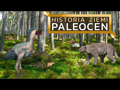 Paleocen - odrodzenie życia po wymieraniu kredowym - Historia Ziemi #15