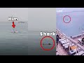 Brutal Shark Attack In Egypt All Footage Brutal Shark Attack In Egypt All Footage