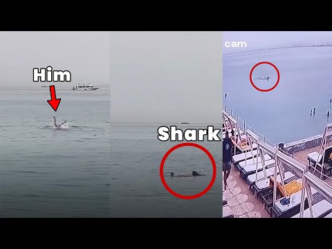 Brutal Shark Attack In Egypt | All Footage