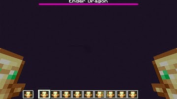 what if you jump in the void with 36 totem of undying?