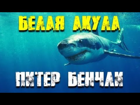 Питер Бенчли. Белая акула 3