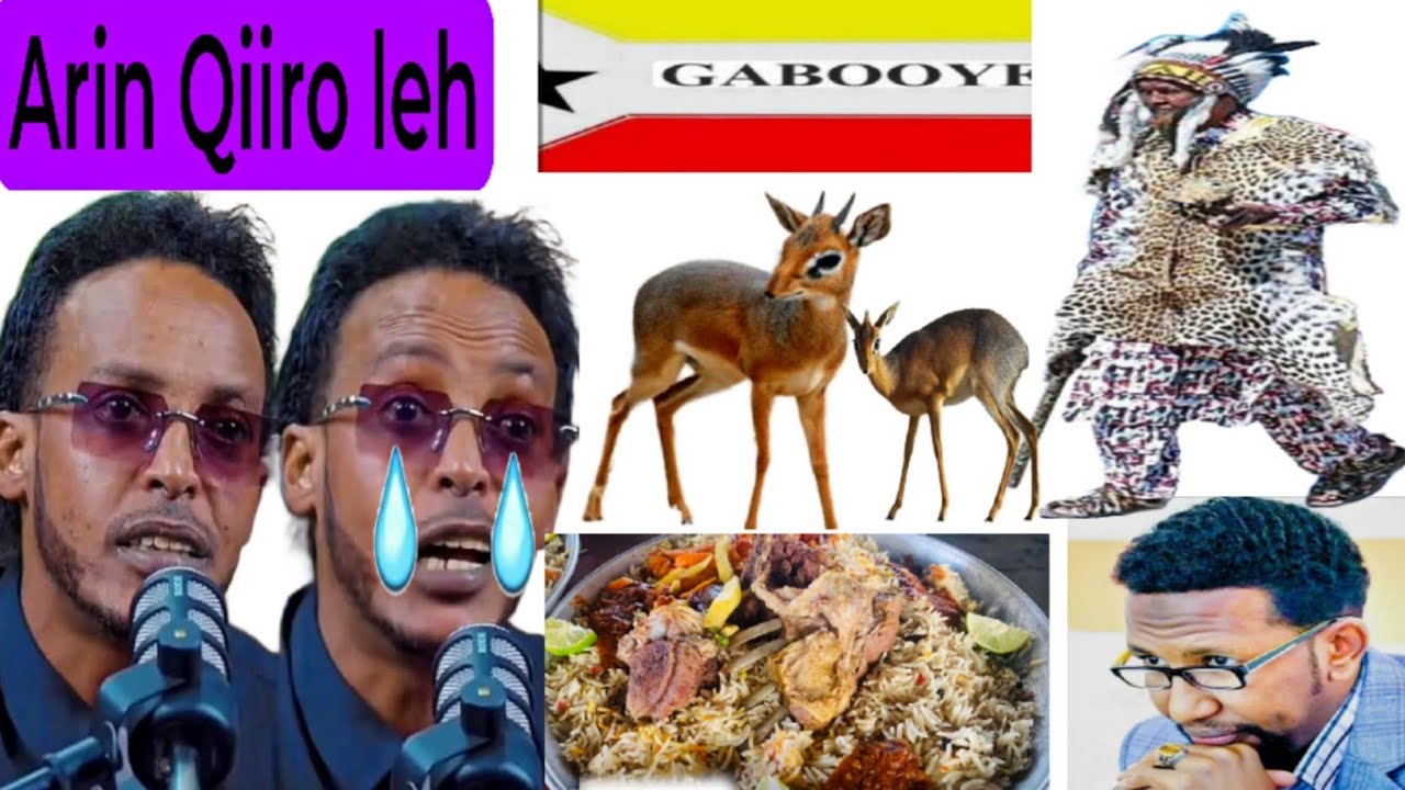 Oohinta Beesha Gabooye oo kacabanaysa Takoor iyo Bahdil Laguhayo. Oohinta Barkhad Batuun