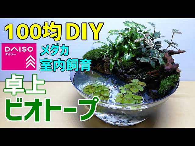 How To Make Table Top Aquarium At Home DIY - Indoor Bamboo Water