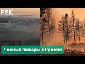 Леса горят: огонь подбирается к Ленинградской АЭС и угрожает домам в Якутии и Челябинской области