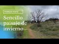 Sencillo paisaje de invierno (primera parte)