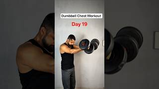 Day 19 beginner home workout series #workout #homeworkout #gymworkout #chest #chestworkout