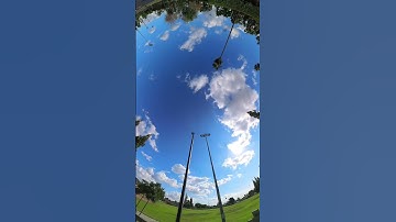 California Sunny Day, Timelapse, insta360 #shorts #california #insta360 #timelapse