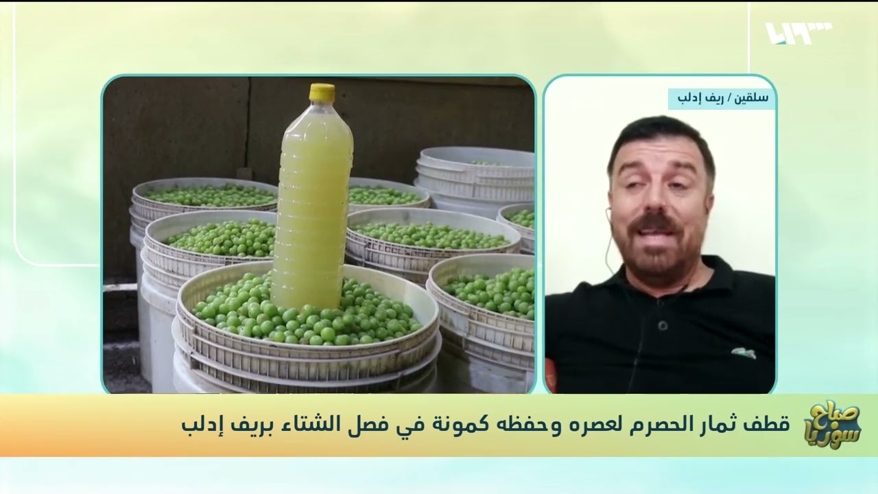 شاهد: صاحب معصرة في سلقين يتحدث عن موسم الحصرم في إدلب