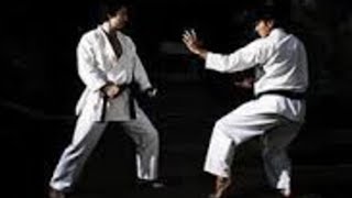 perebutan sabuk hitam - film aksi 2020 subtitle indonesia - film action 2020 subtitle indonesia
