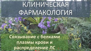 Связывание с белками плазмы крови и распределение ЛС