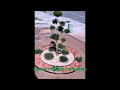 DISEÃ‘O DE JARDINERIA ARTISTICA