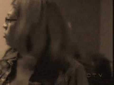 Jiberty-Wild Horses