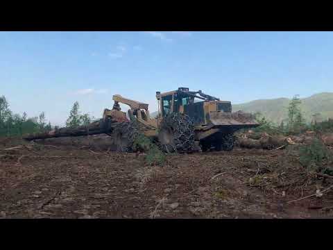 Logging Job 11