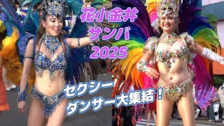 セクシーダンサー勢ぞろい☆彡花小金井サンバパレード2025～ブロコ・アハスタォン～Samba Japan