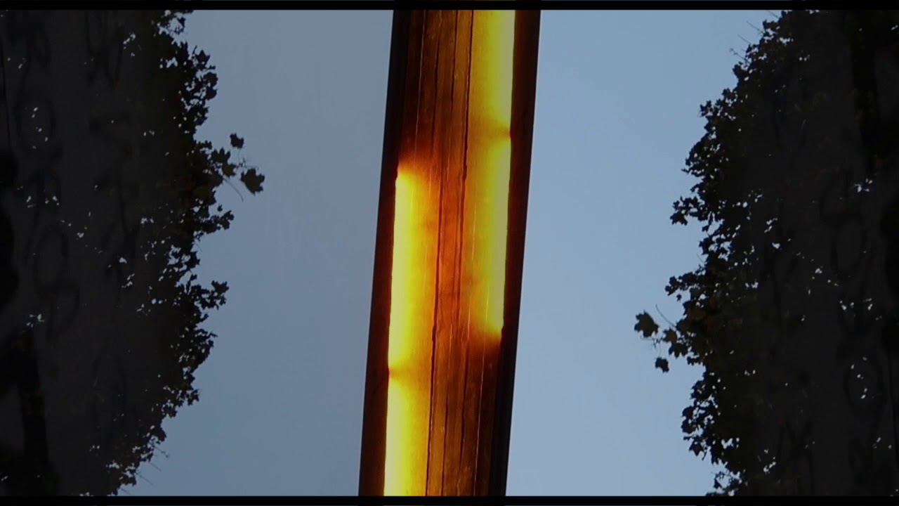 Moritz Mauritz & PatriceVanDenBerg - Butterfly Revenge (Spagat Music) Snippet zonders.pro scam